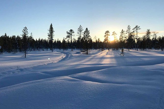 Afternoon Snowmobile Tour - Tour Details and Inclusions