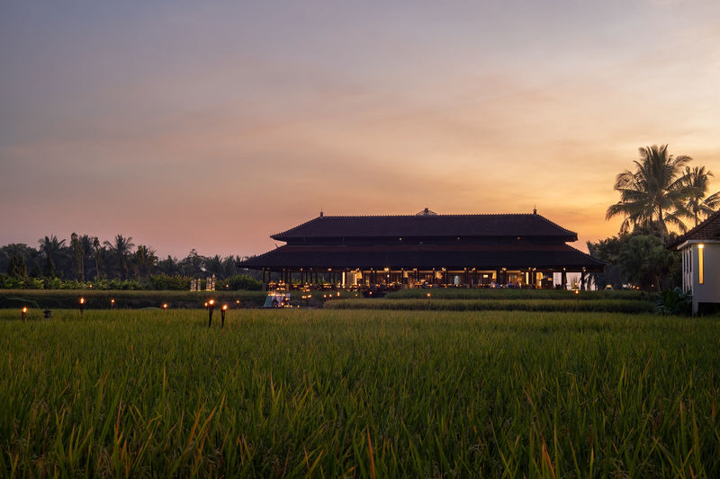 Afternoon Tea, Cooking Class, and Dining at Tanah Gajah Ubud - What arrives on the three-tier stand