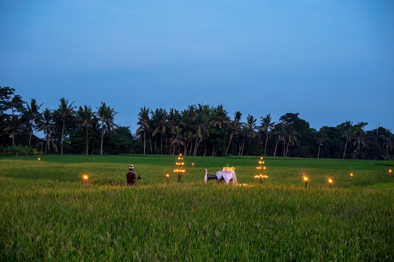 Afternoon Tea, Cooking Class, and Dining at Tanah Gajah Ubud - Who should book Tanah Gajah afternoon tea?