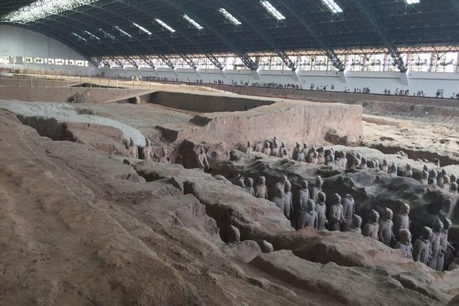 Afternoon Tour to Terracotta Warriors Museum - Reviews