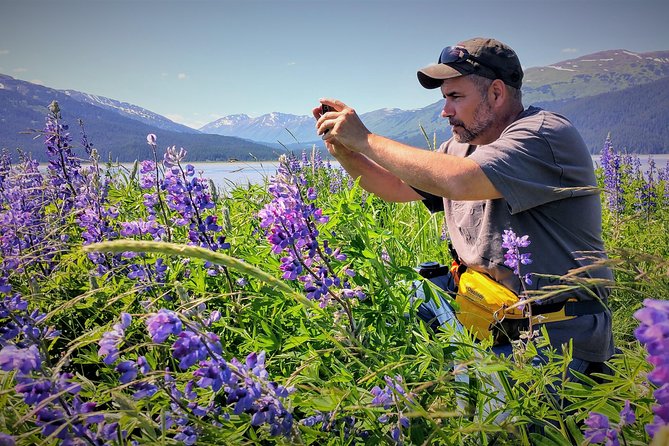 Afternoon Wilderness, Wildlife, Glacier Experience From Anchorage - Tour Details and Inclusions