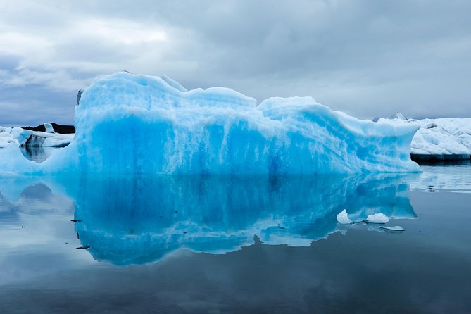 Afternoon Wilderness, Wildlife, Glacier Experience From Anchorage - Meeting and Pickup Information
