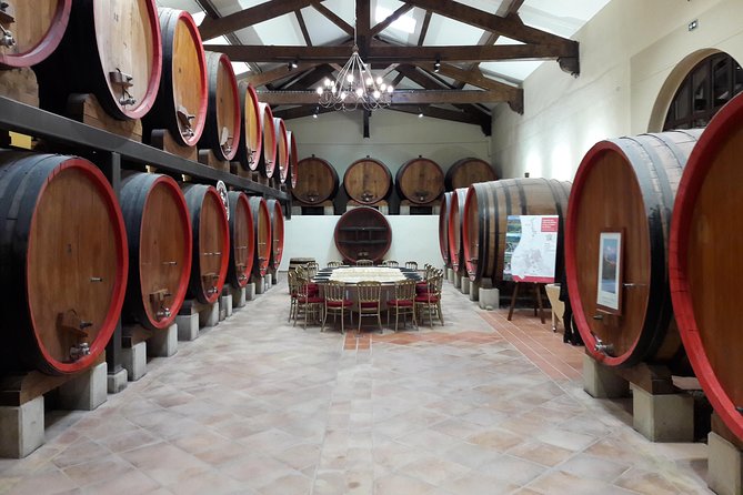 Afternoon Wine Tour to Chateauneuf Du Pape From Avignon - Tour Guides