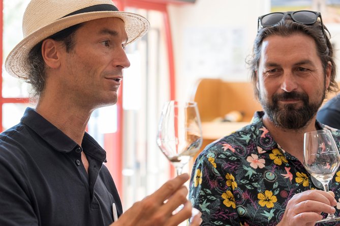 Afternoon Wine Tour to Chateauneuf Du Pape From Avignon - Wineries and Wine Tasting