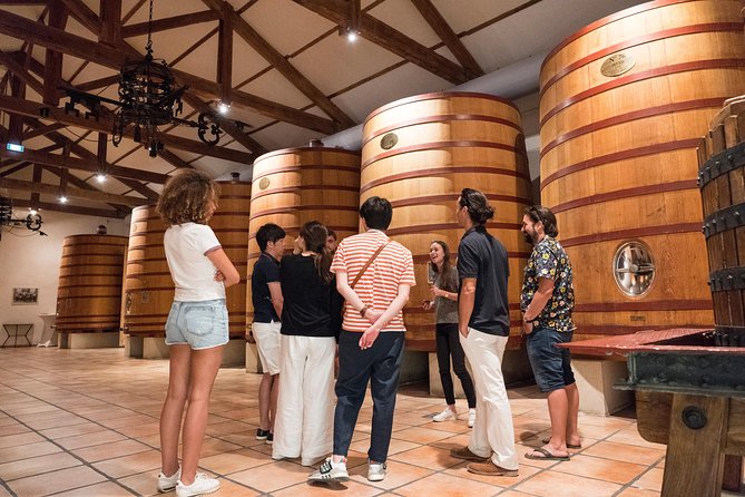 Afternoon Wine Tour to Chateauneuf Du Pape From Avignon - The Sum Up
