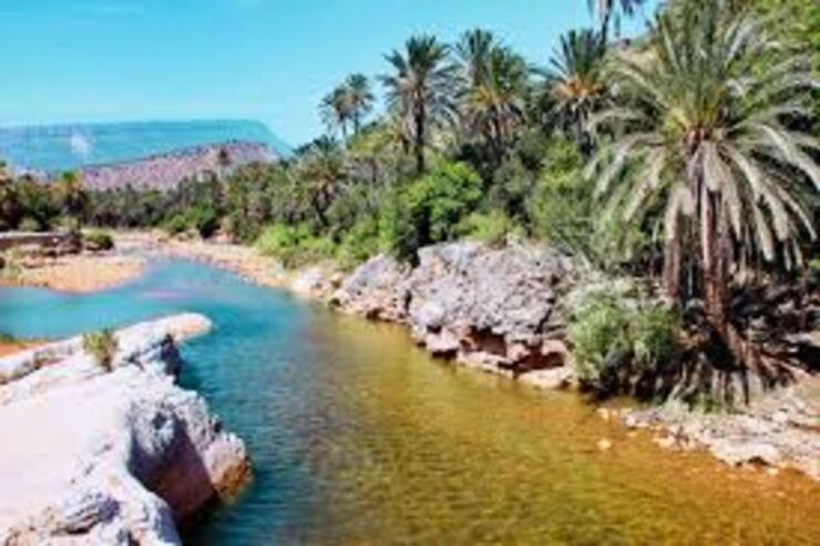 Agadir Anti Atlas Paradise Valley Adventure Guided Tour - What to Expect