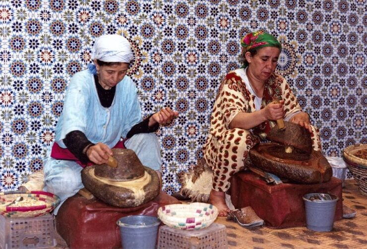 Agadir: Argan Oil Factory Tour - Experience Highlights and Benefits