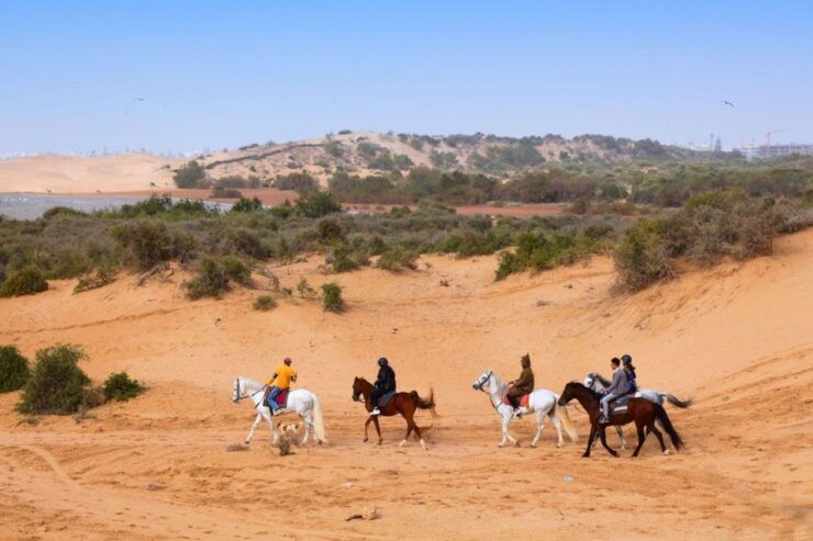 Agadir: Beach and Ranch Horse Riding Tour - Activity Information