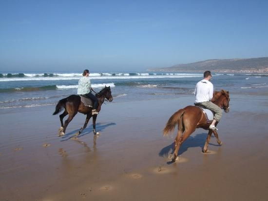 Agadir: Beach and Ranch Horse Riding Tour - Experience Highlights