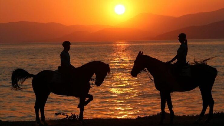 Agadir: Beach Horse Riding Tour - Activity Details