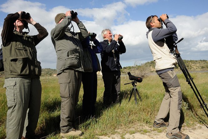 Agadir Bird Watching - Good To Know