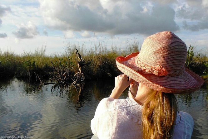 Agadir Bird Watching - Tour Operator and Reviews