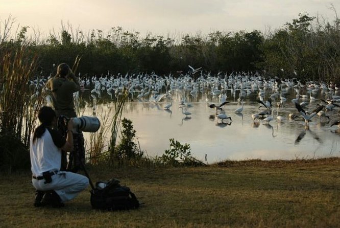 Agadir Bird Watching - The Sum Up