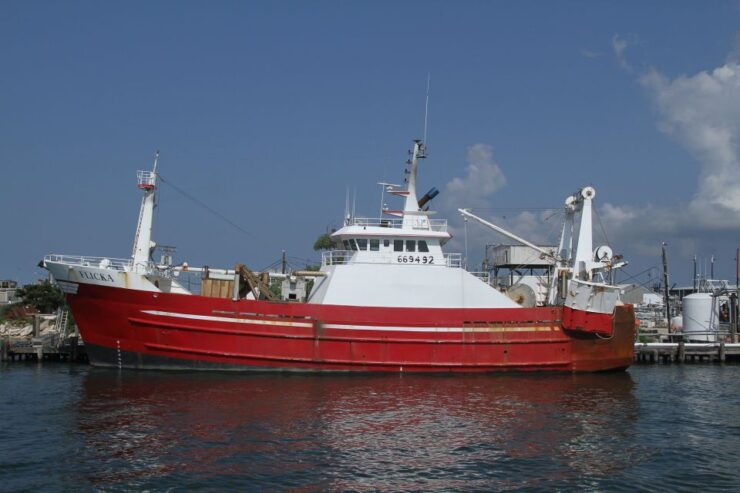 Agadir Boat Trip Fishing & Swimming Adventure - Experience Highlights