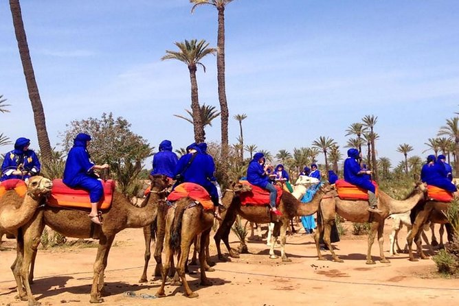 Agadir Camel Ride - Pricing Details