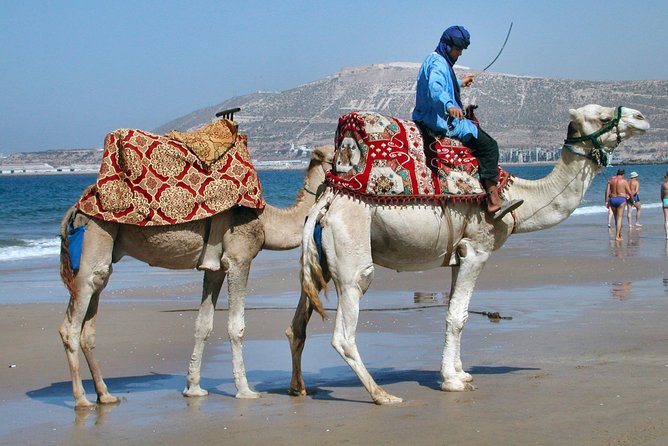 Agadir Camel Ride - Directions and Transfers