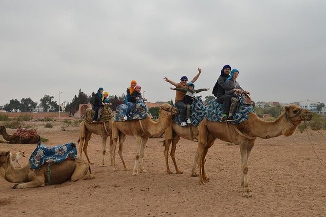 Agadir Camel Ride Experience - Overview and Experience