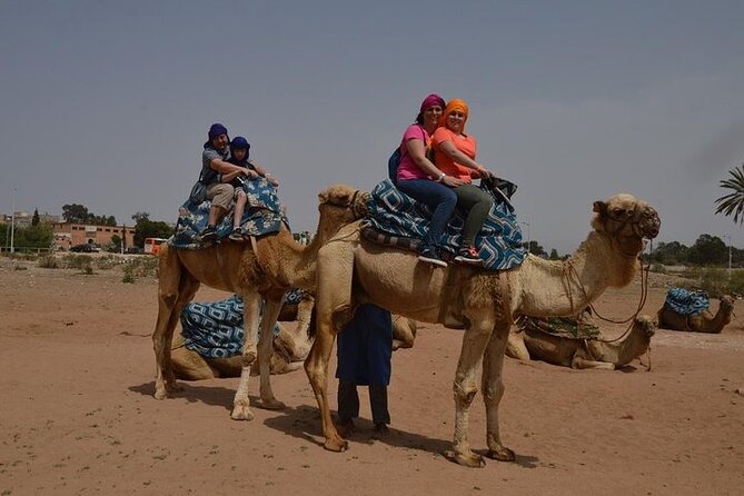 Agadir Camel Ride Experience - Prebooking and Departure