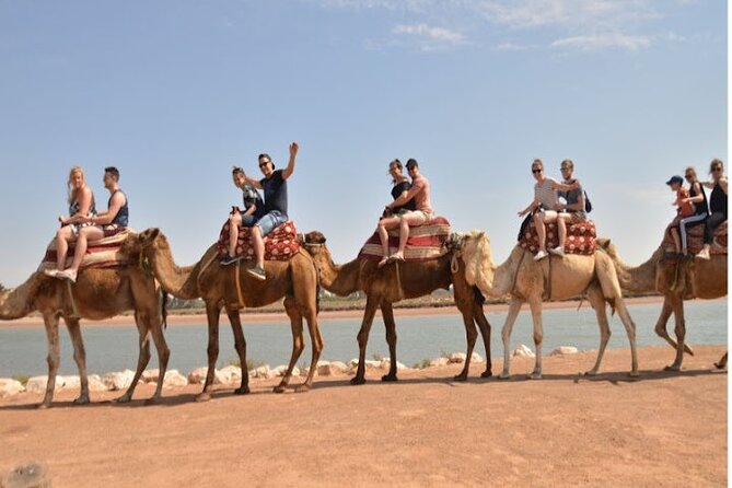 Agadir Camel Ride Experience - Refreshments at the Camel Ranch