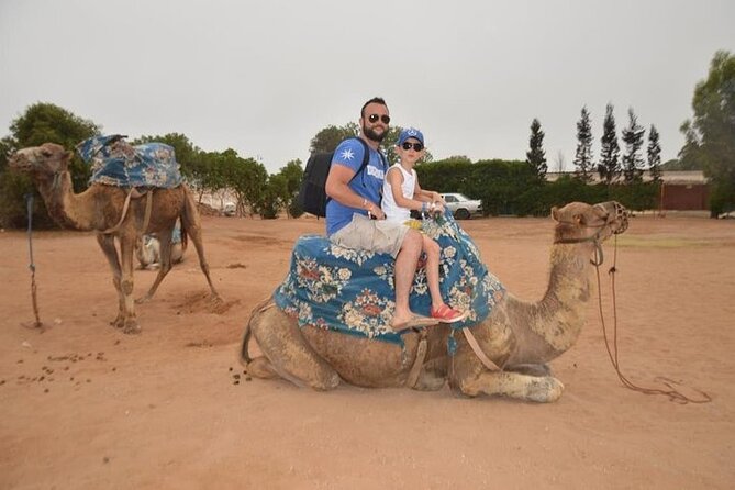 Agadir Camel Ride Experience - Requirements and Recommendations