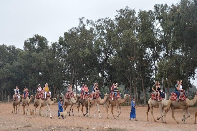 Agadir Camel Ride Experience - Cancellation Policy