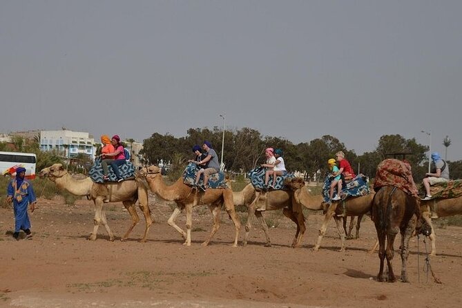 Agadir Camel Ride Experience - Authentic Reviews and Ratings