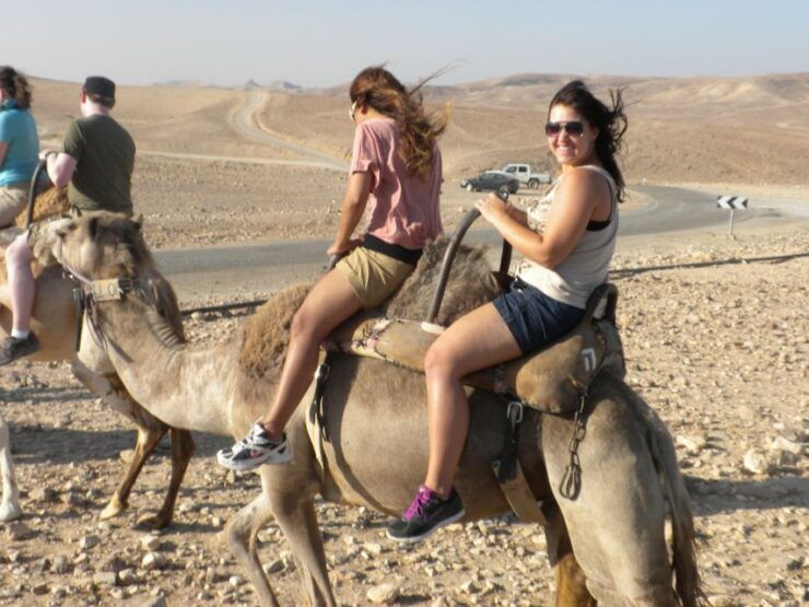 Agadir Camel Ride Flamingo River & BBQ Dinner - Activity Details