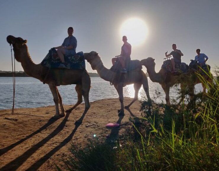 Agadir Camel Ride Flamingo River & Couscous With BBQ Dinner - Activity Details