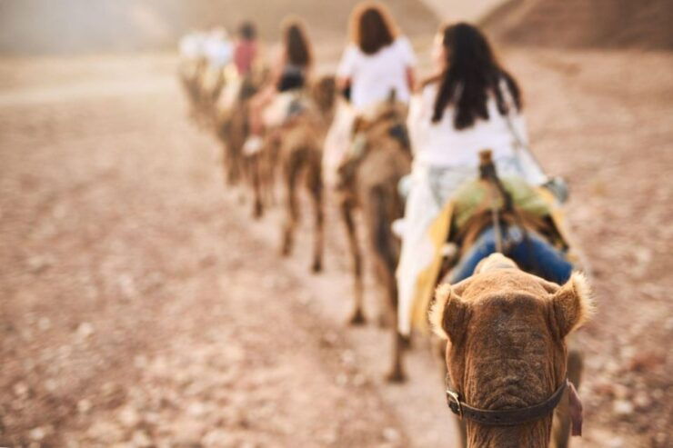 Agadir: Camel Ride With Tea & BBQ Dinner Option - Experience Highlights