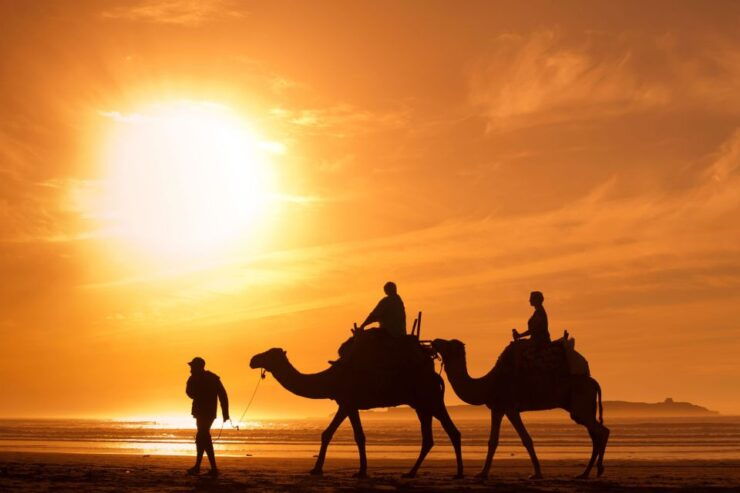 Agadir: Camel Ride With Tea & BBQ Dinner Option - Activity Details