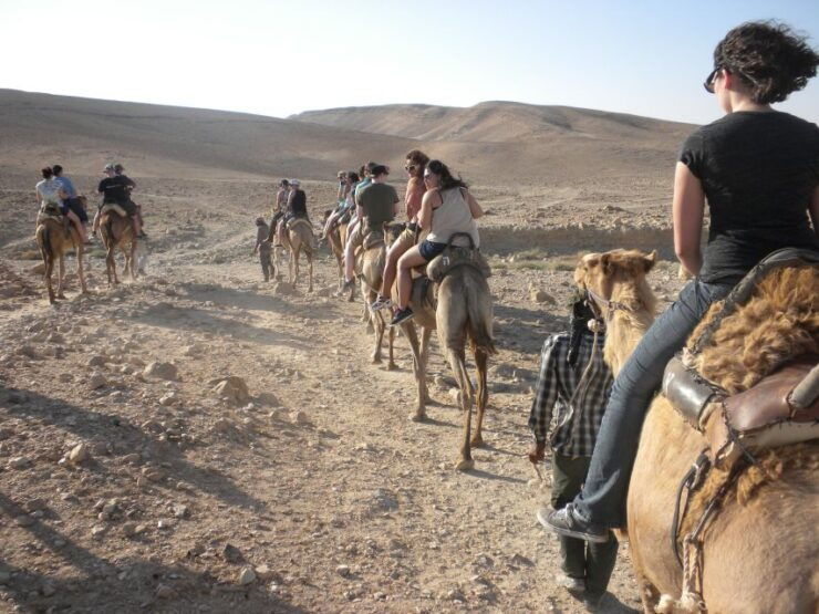 Agadir: Camel Ride With Tea - Activity Overview