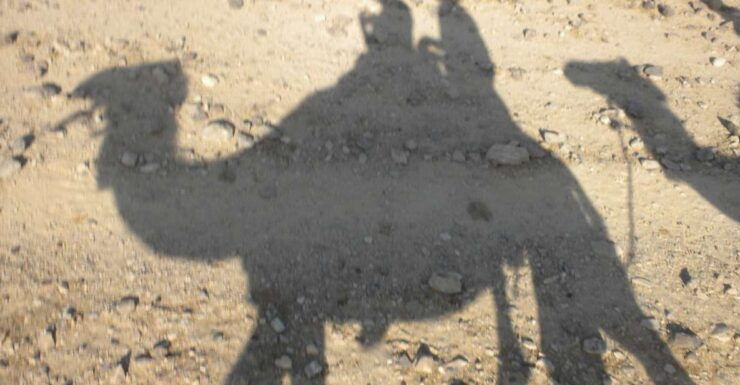 Agadir: Camel Riding Adventure With Authentic Moroccan Lunch - Activity Overview