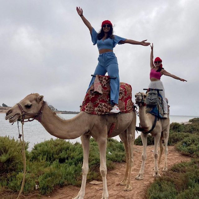 Agadir Camel Riding Tours - Activity Details