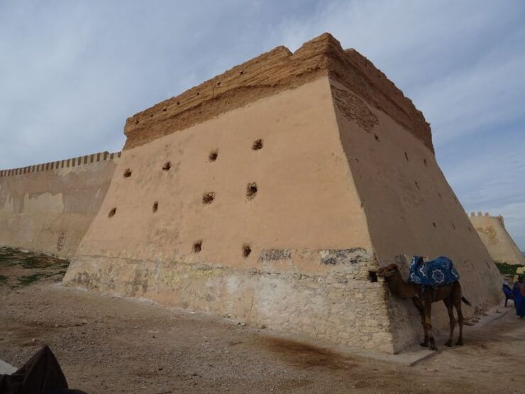 Agadir: City Discovery Tour - Tour Experience