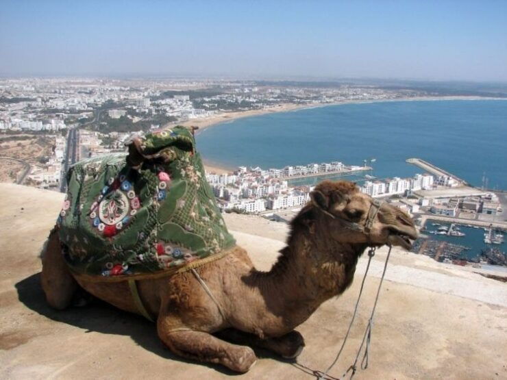 Agadir : City Sightseeing Tour - Tour Duration and Itinerary