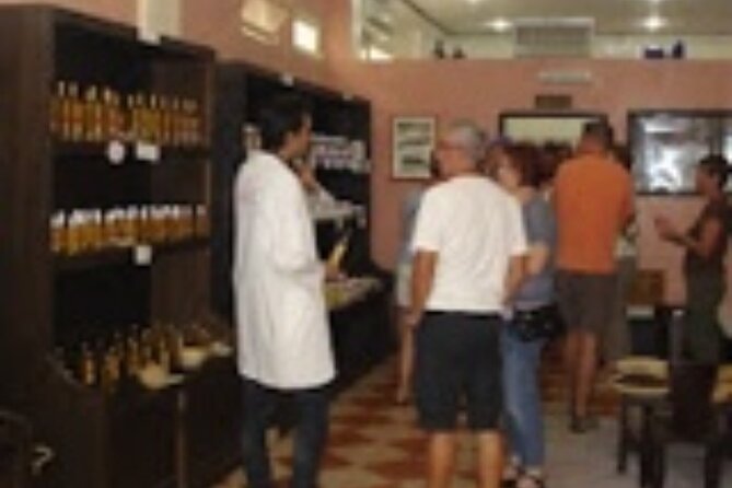 Agadir City Tour - Accessibility Details