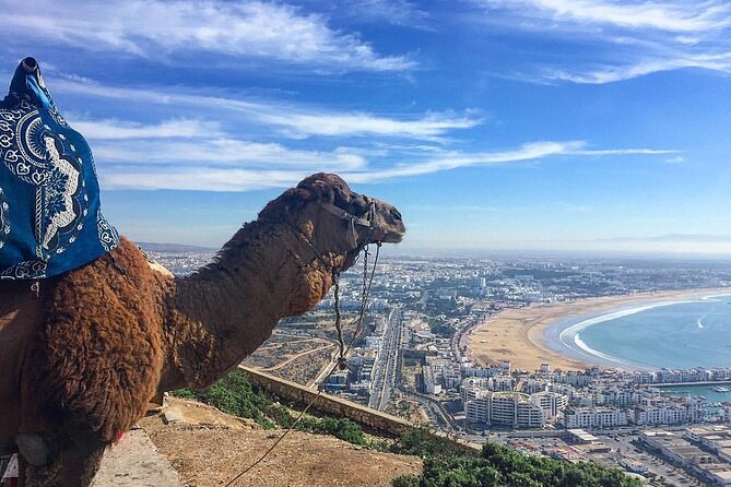 Agadir City Tour - Meal Inclusion