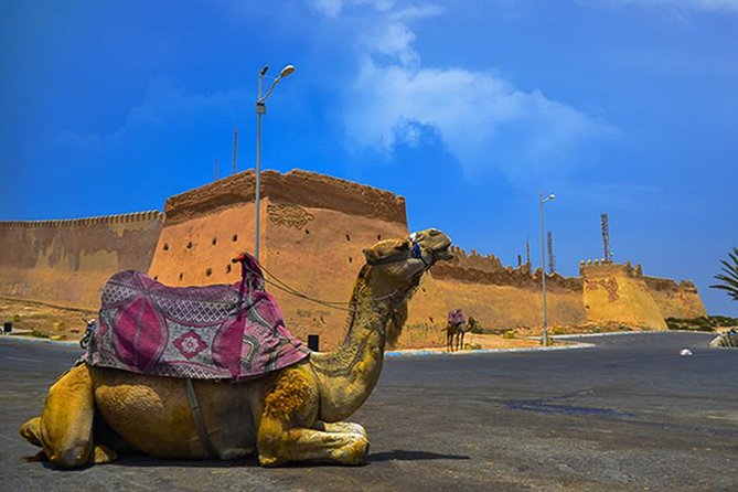Agadir City Tour - Exploring Agadirs Cultural Heritage