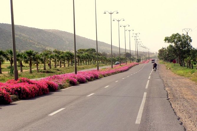 Agadir City Tour Discovery - What To Expect