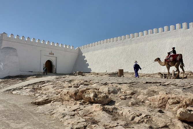 Agadir City Tour Including Camel Rides And Couscous or Tajine - Booking Details