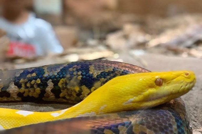 Agadir Croco Park Transport & Admission Ticket - Additional Information for Visitors