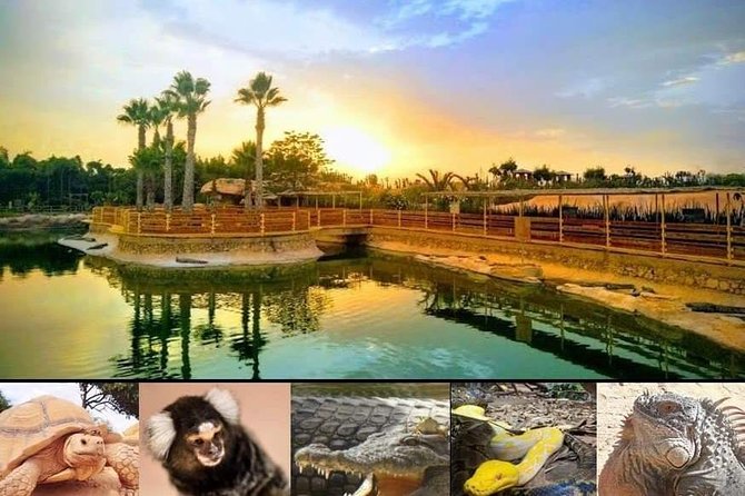 Agadir Croco Park Transport & Admission Ticket - The Sum Up