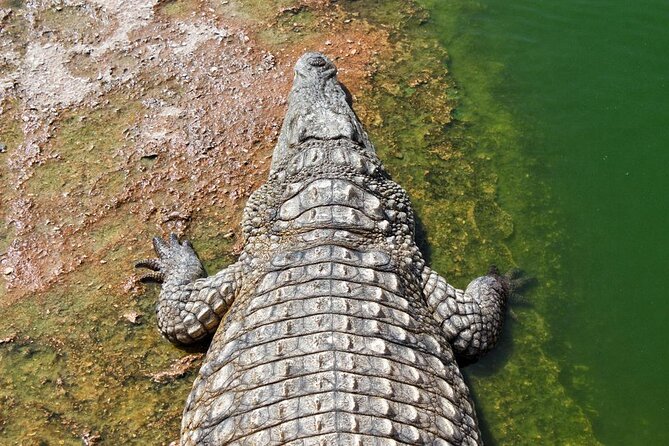 Agadir Crocodile Park Adventure - Booking Information
