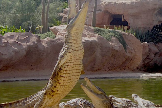 Agadir Crocodile Park Including Transfer and Tickets - Cancellation Policy