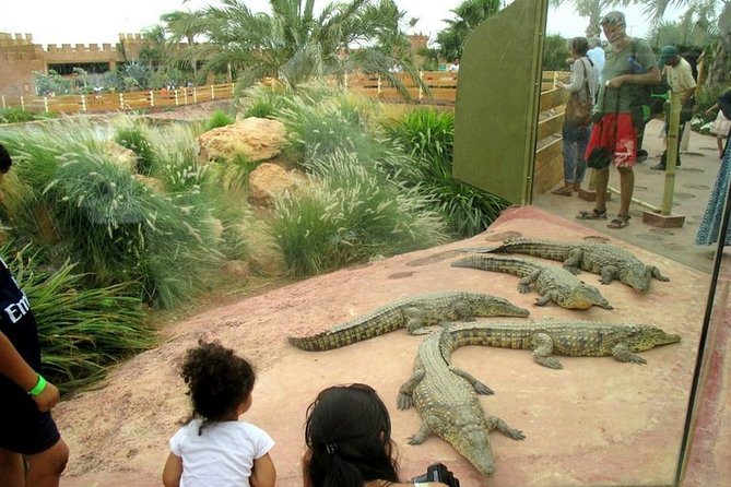 Agadir Crocodile Park Including Transfer and Tickets - Additional Information