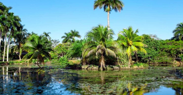 Agadir Crocoparc: Ticket and Transfer - Ticket Details at Agadir Crocoparc