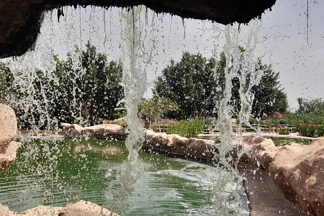 Agadir Crocoparc Tour With Local Guide - Reviews and Ratings