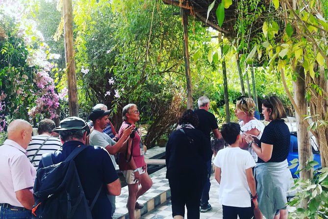 Agadir Day Trip to ​Taroudant & Tiout - Departure Point