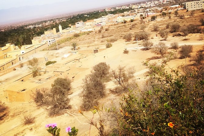 Agadir Day Trip to ​Taroudant & Tiout - Optional Activities