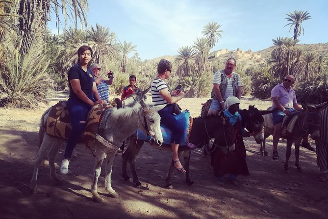 Agadir Day Trip to ​Taroudant & Tiout - Return to Agadir
